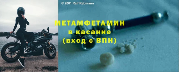 прущие грибы Аркадак