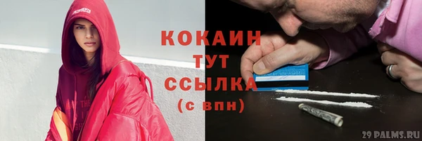 прущие грибы Аркадак