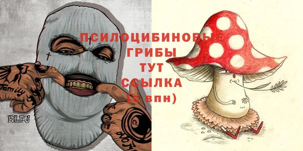 дистиллят марихуана Каменногорск