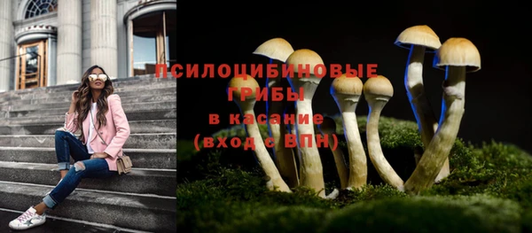 круглые Арсеньев