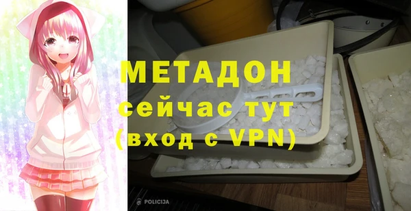 прущие грибы Аркадак
