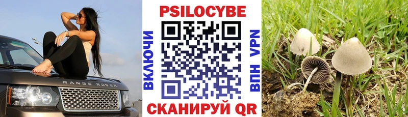 Галлюциногенные грибы GOLDEN TEACHER  где можно купить   Нарткала 